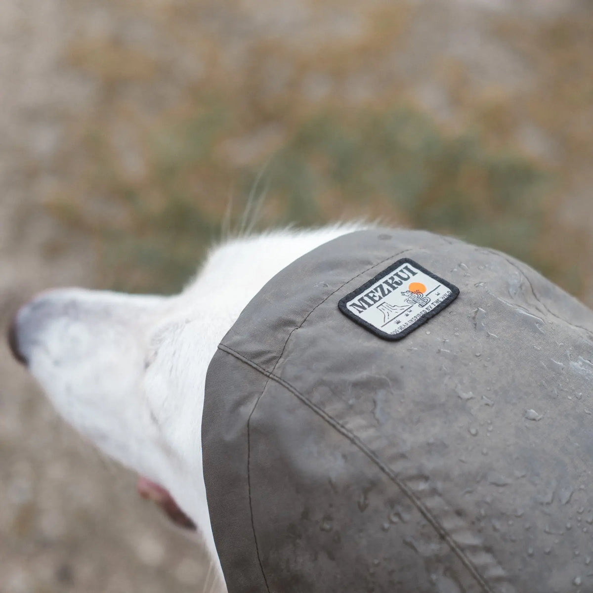 Traje de lluvia para perros Horizon Over Mesa Mezkui