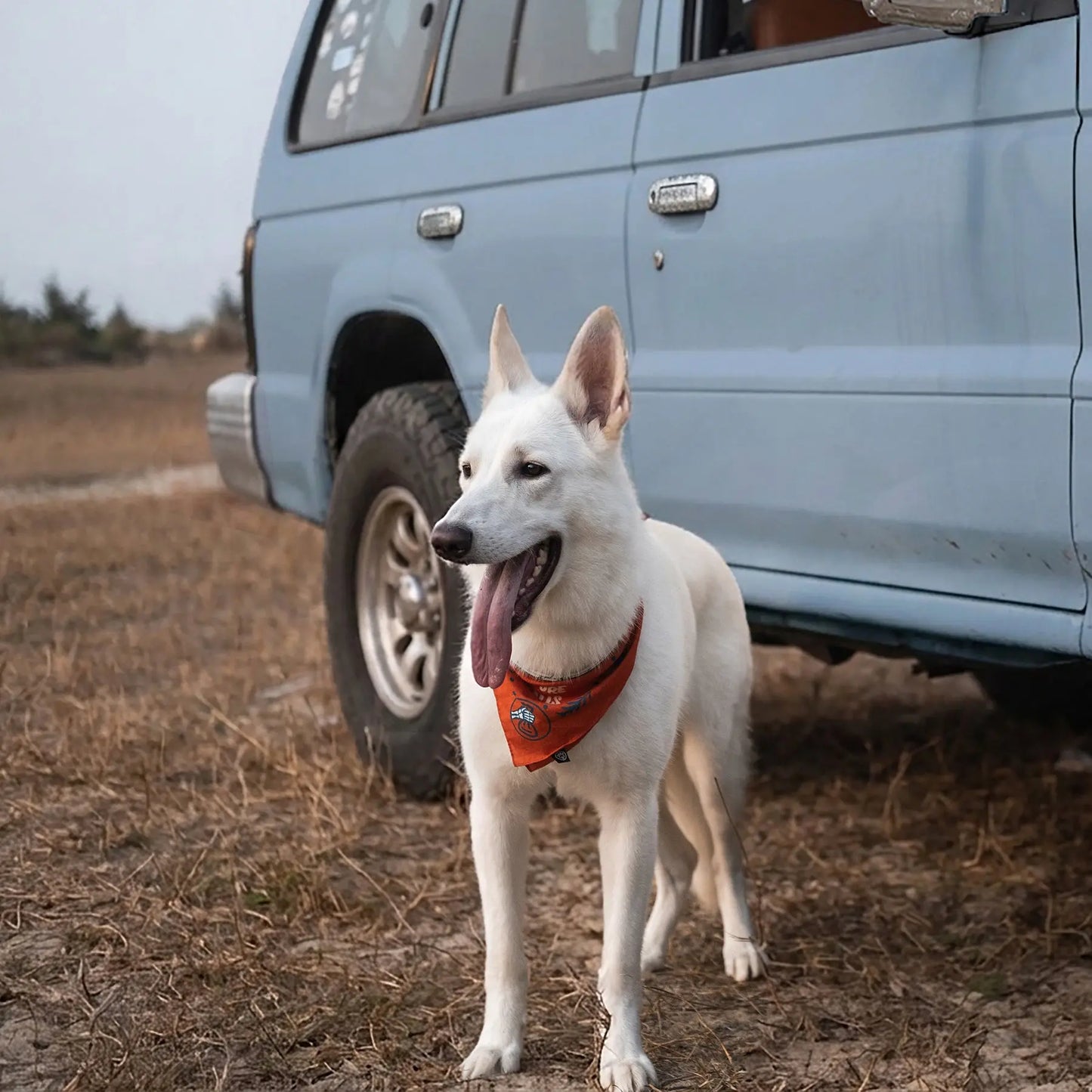 Scenic Poop Dog Bandana Mezkui