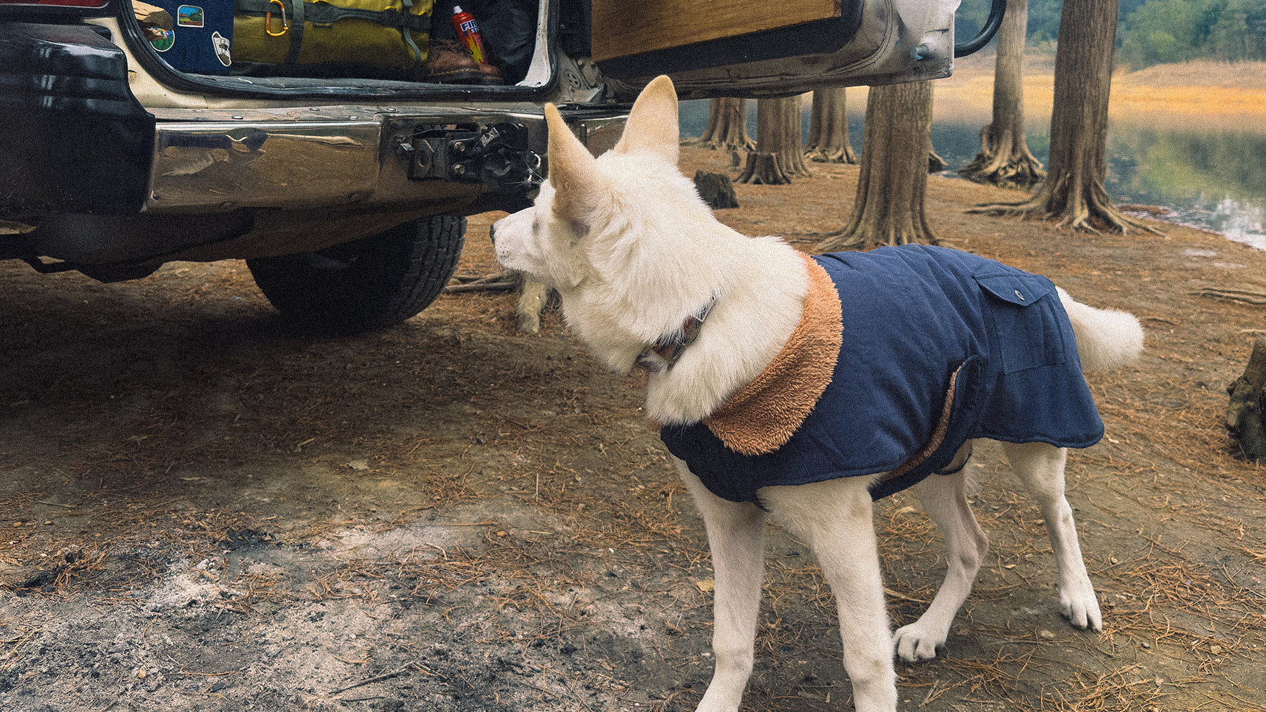 Dog's Winter Jackets and Coats