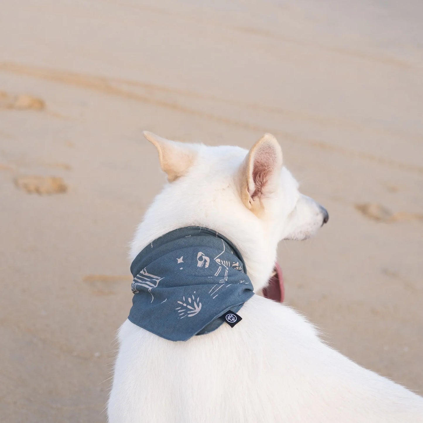 Night Patrol Dog Bandana Mezkui