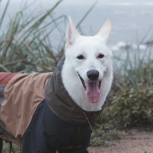 Horizon Over Mesa Dog Rain Suit Mezkui