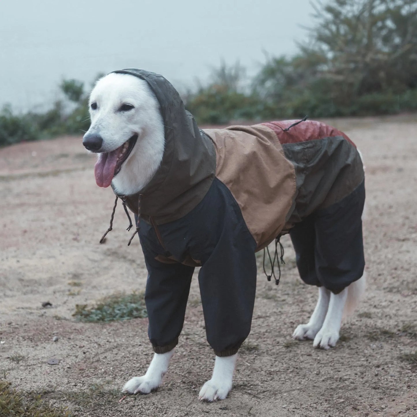 Horizon Over Mesa Dog Rain Suit Mezkui