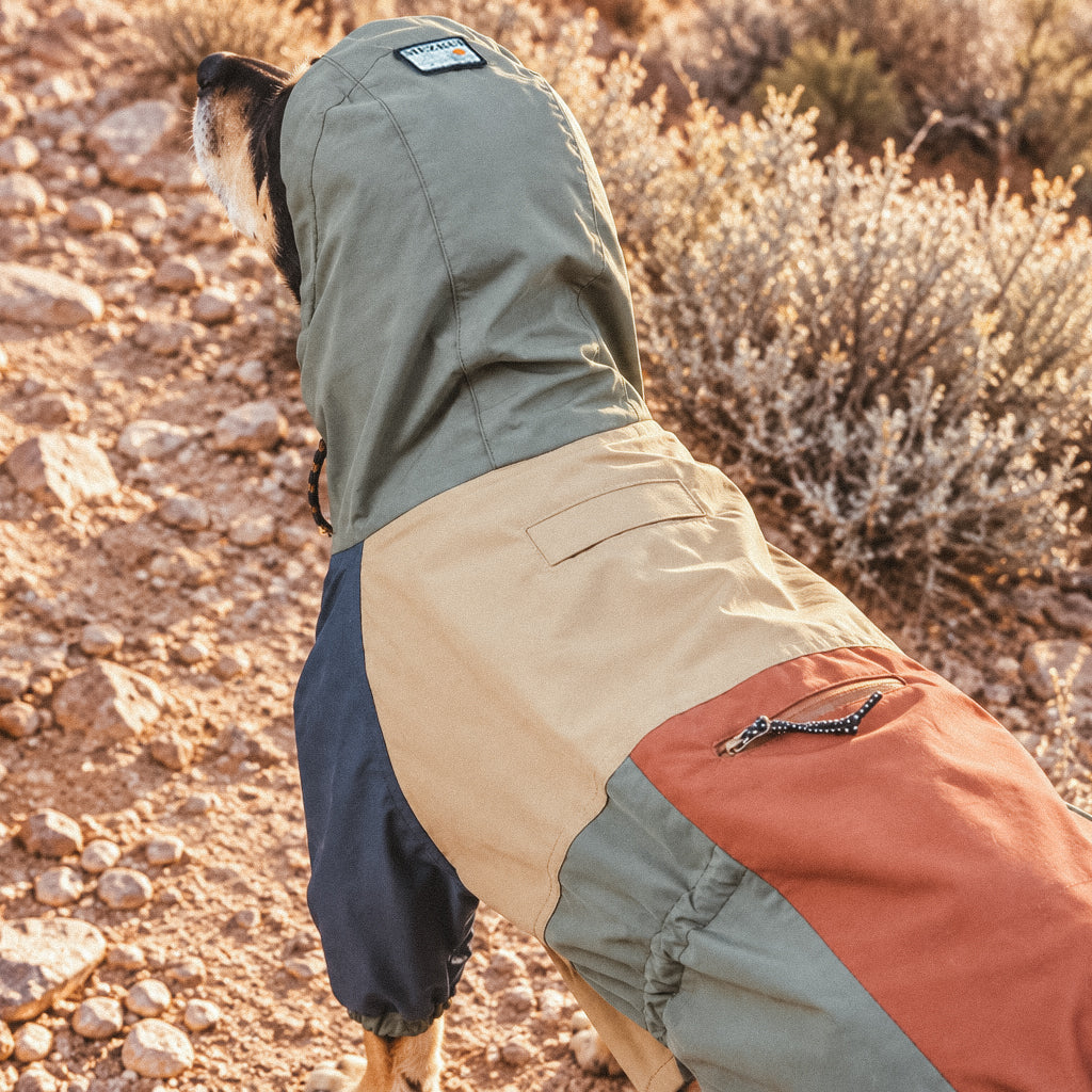 Horizon Over Mesa Dog Rain Suit MEZKUI