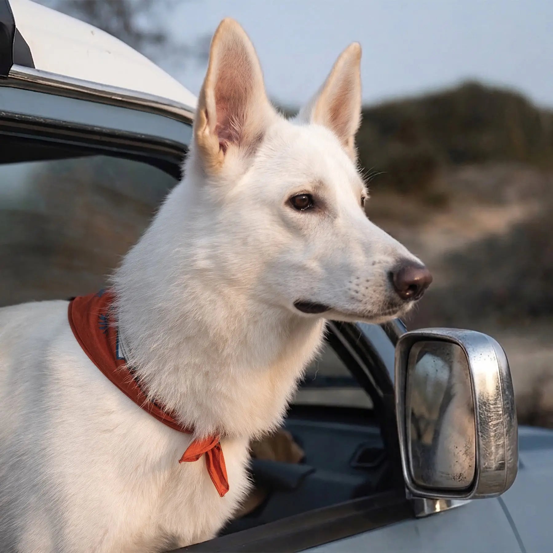 Scenic Poop Dog Bandana Mezkui