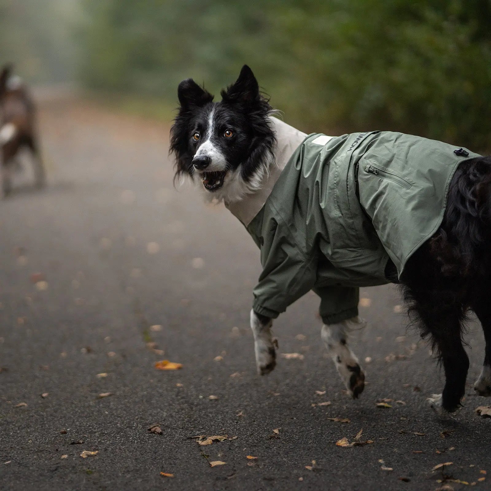 Midnight Forest Waterproof Dog Jacket - Mezkui