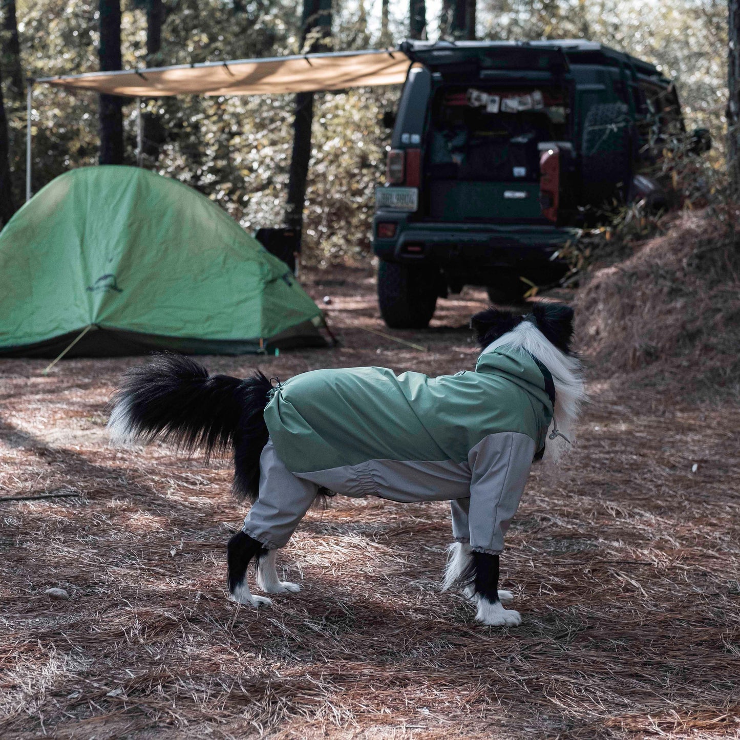 Dog wearing Havasu raincoat at a camping site with a tent and off-road vehicle in the background, showcasing outdoor adventure gear for dogs.