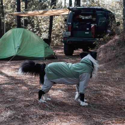 Dog wearing Havasu raincoat at a camping site with a tent and off-road vehicle in the background, showcasing outdoor adventure gear for dogs.