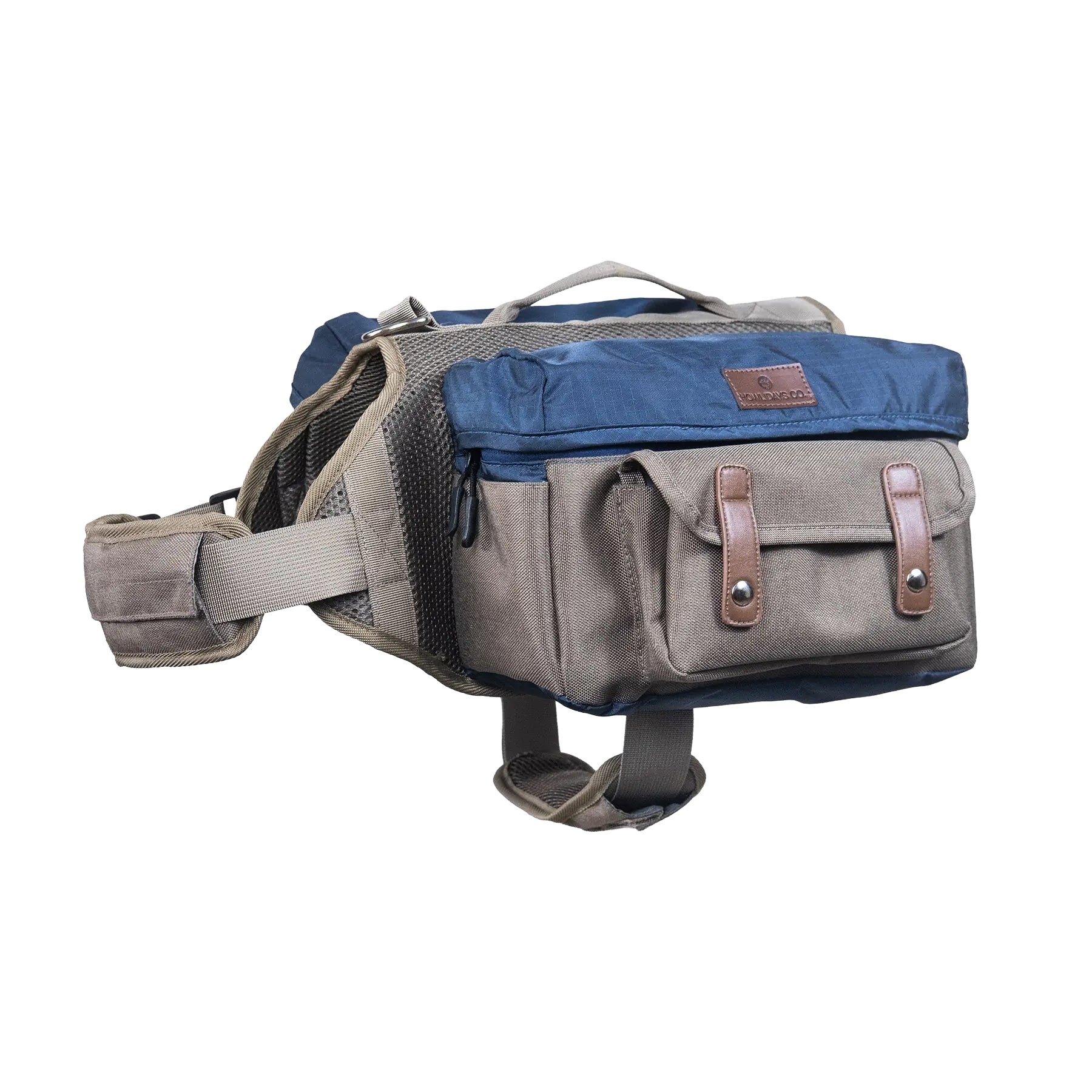 Cactus Creek backpack for dogs, side view displaying comfort and style